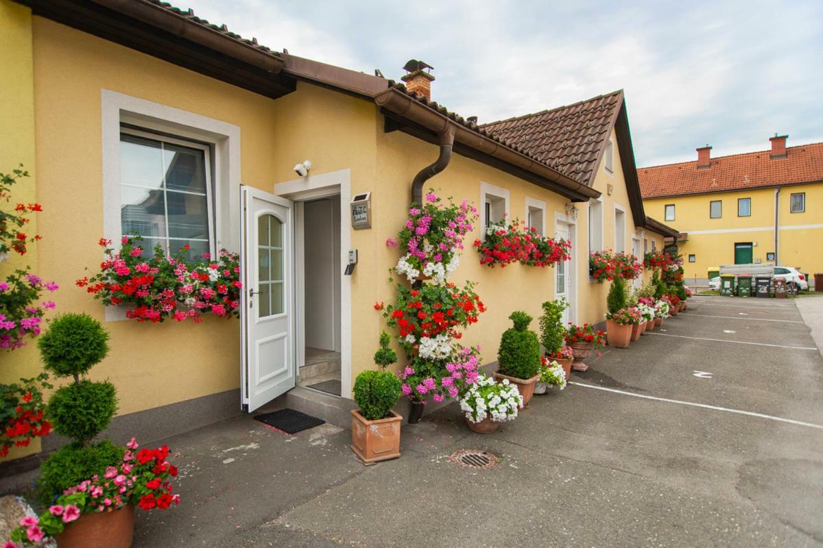 Auszeit Leoben 1 Mit Terasse Und Gratis Parkplatz公寓 外观 照片